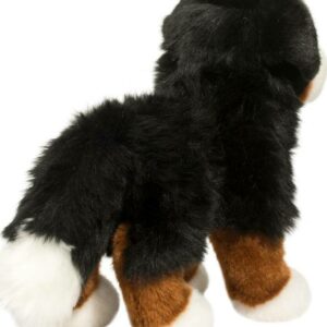 Stevie Bernese Mountain Dog