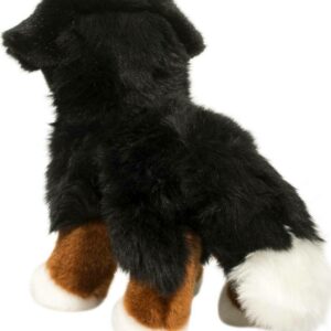 Stevie Bernese Mountain Dog