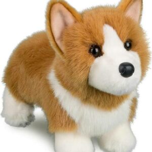 Louie Corgi