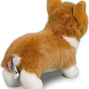 Louie Corgi