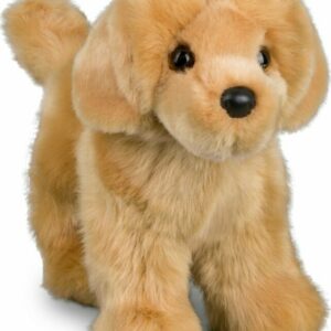 Chap Golden Retriever
