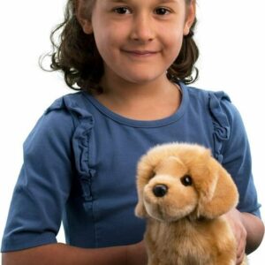 Chap Golden Retriever