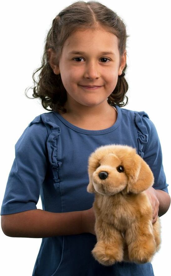 Chap Golden Retriever