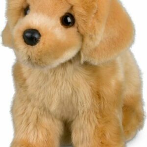 Chap Golden Retriever