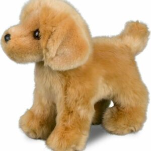 Chap Golden Retriever