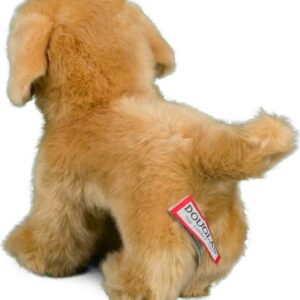 Chap Golden Retriever