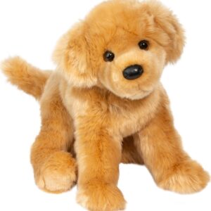 Bella Golden Retriever