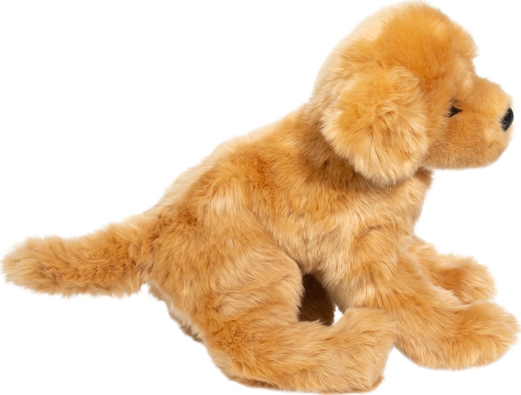 Bella Golden Retriever