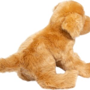 Bella Golden Retriever