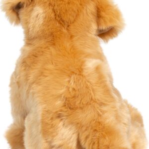 Bella Golden Retriever