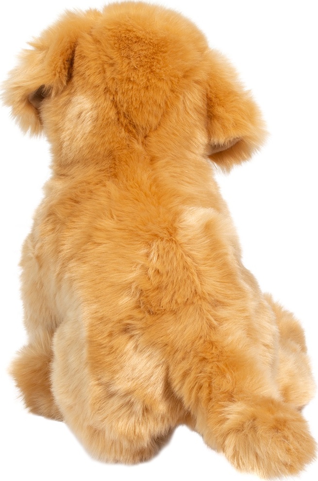 Bella Golden Retriever