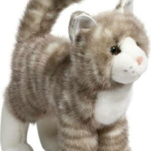 Zipper Gray Tabby Cat