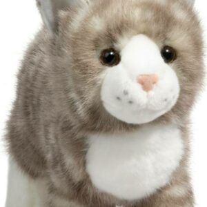 Zipper Gray Tabby Cat