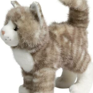 Zipper Gray Tabby Cat