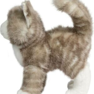 Zipper Gray Tabby Cat