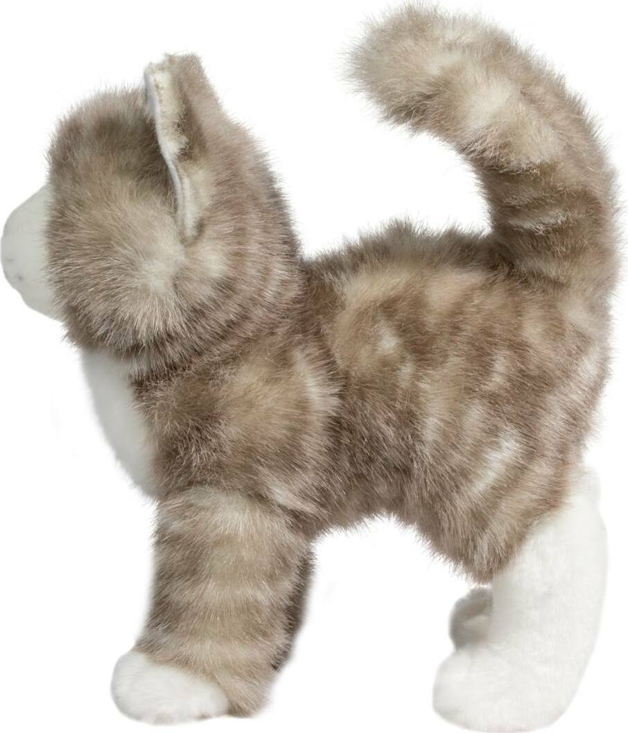 Zipper Gray Tabby Cat