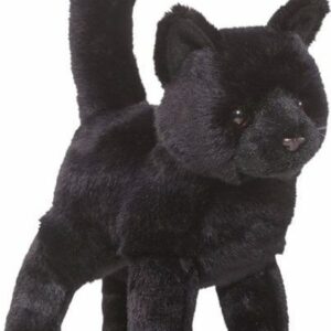 Midnight Black Cat