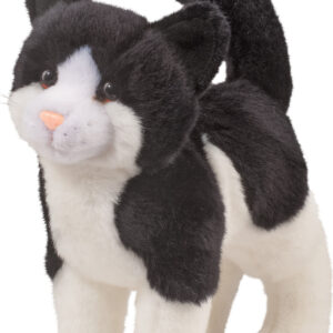 Scooter Black & White Cat