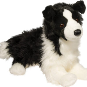 Chase Border Collie