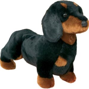 Spats Black & Tan Dachshund