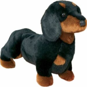 Spats Black & Tan Dachshund