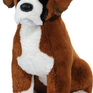Chance Boxer