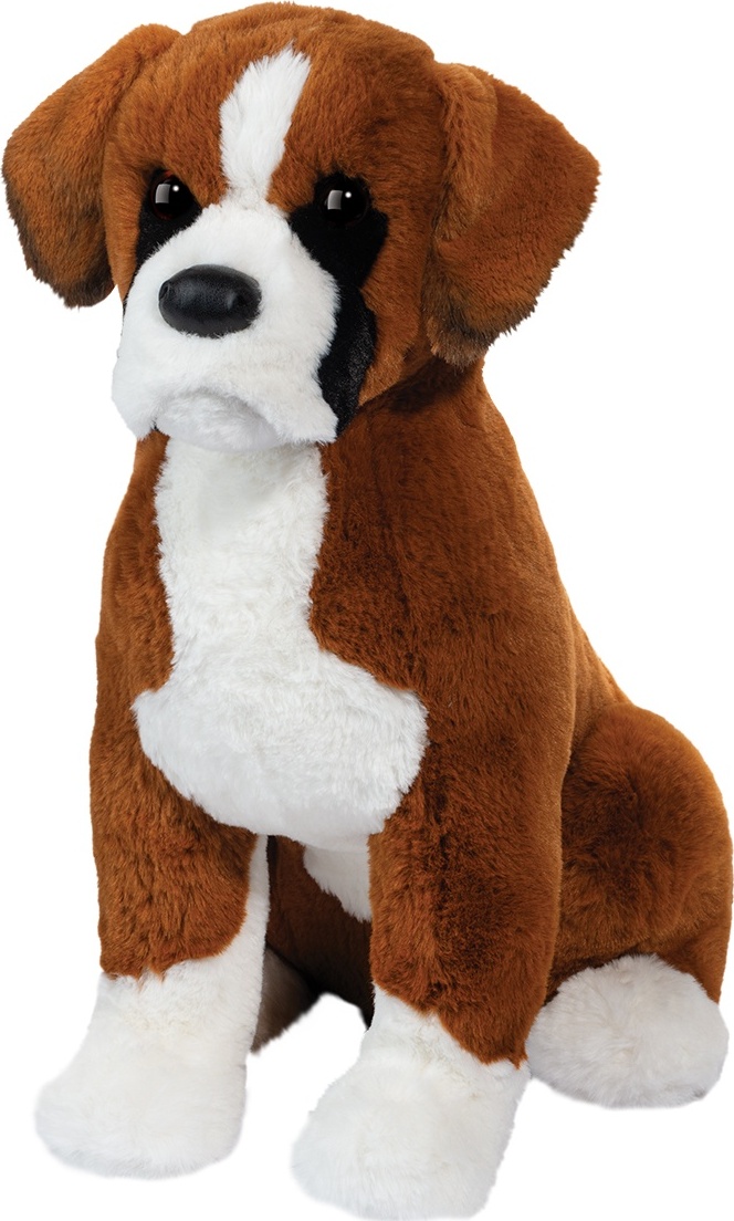 Chance Boxer