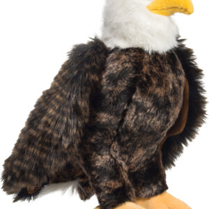 Adler Bald Eagle