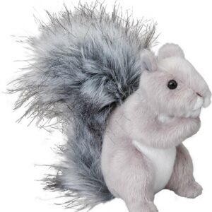 Shasta Gray Squirrel