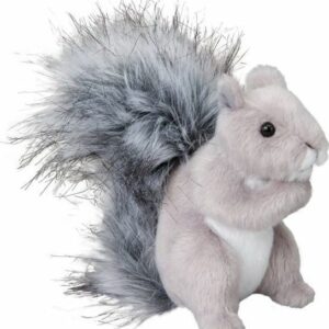 Shasta Gray Squirrel