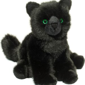 Salem Black Cat
