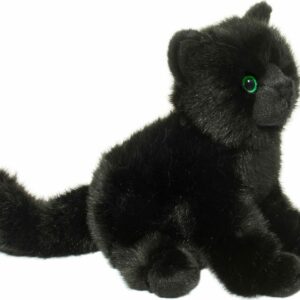 Salem Black Cat