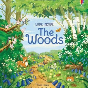 Look Inside The Woods