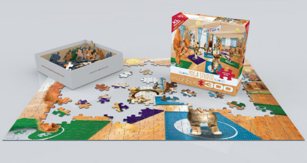 Yoga Studio 300-Piece Puzzle