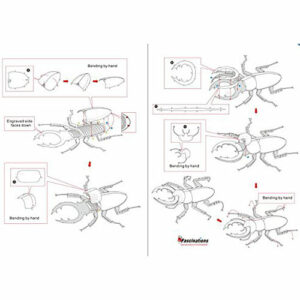 Fascinations Metal Earth Tarantula 3D Metal Model Kit