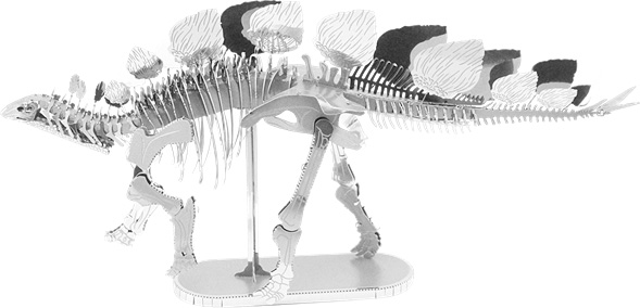 Stegosaurus Skeleton