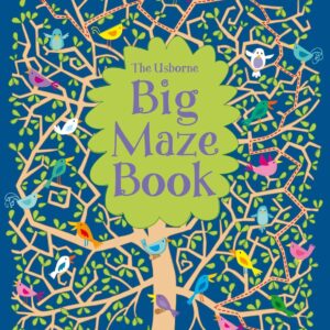 Big Maze Book