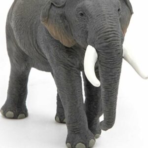 Papo France Asian Elephant