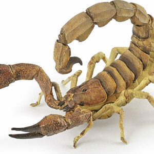 Papo France Scorpion