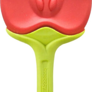 EZ Grip Fruit Teether (Grape)