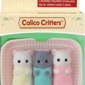 Persian Cat Triplets