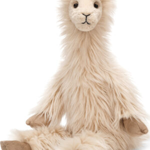 Luis Llama