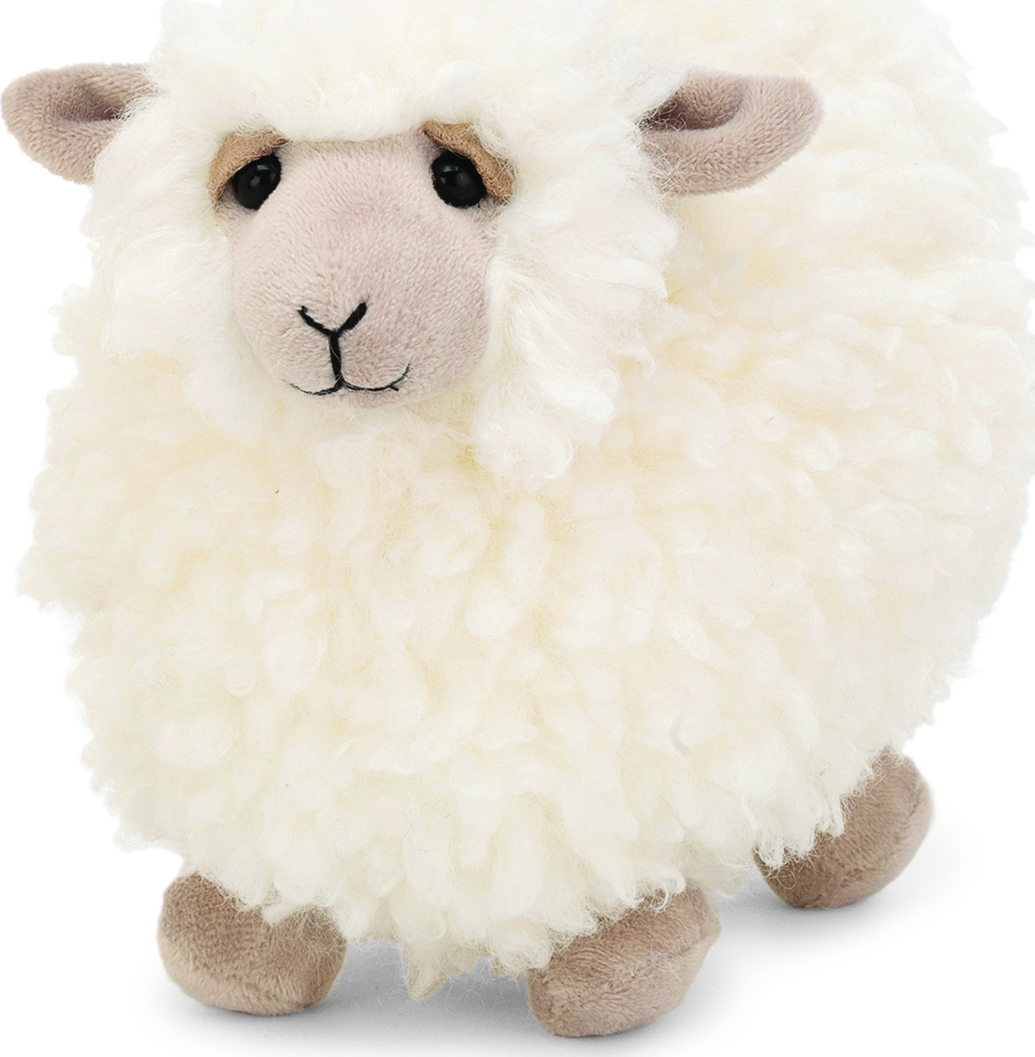 Rolbie Sheep Small
