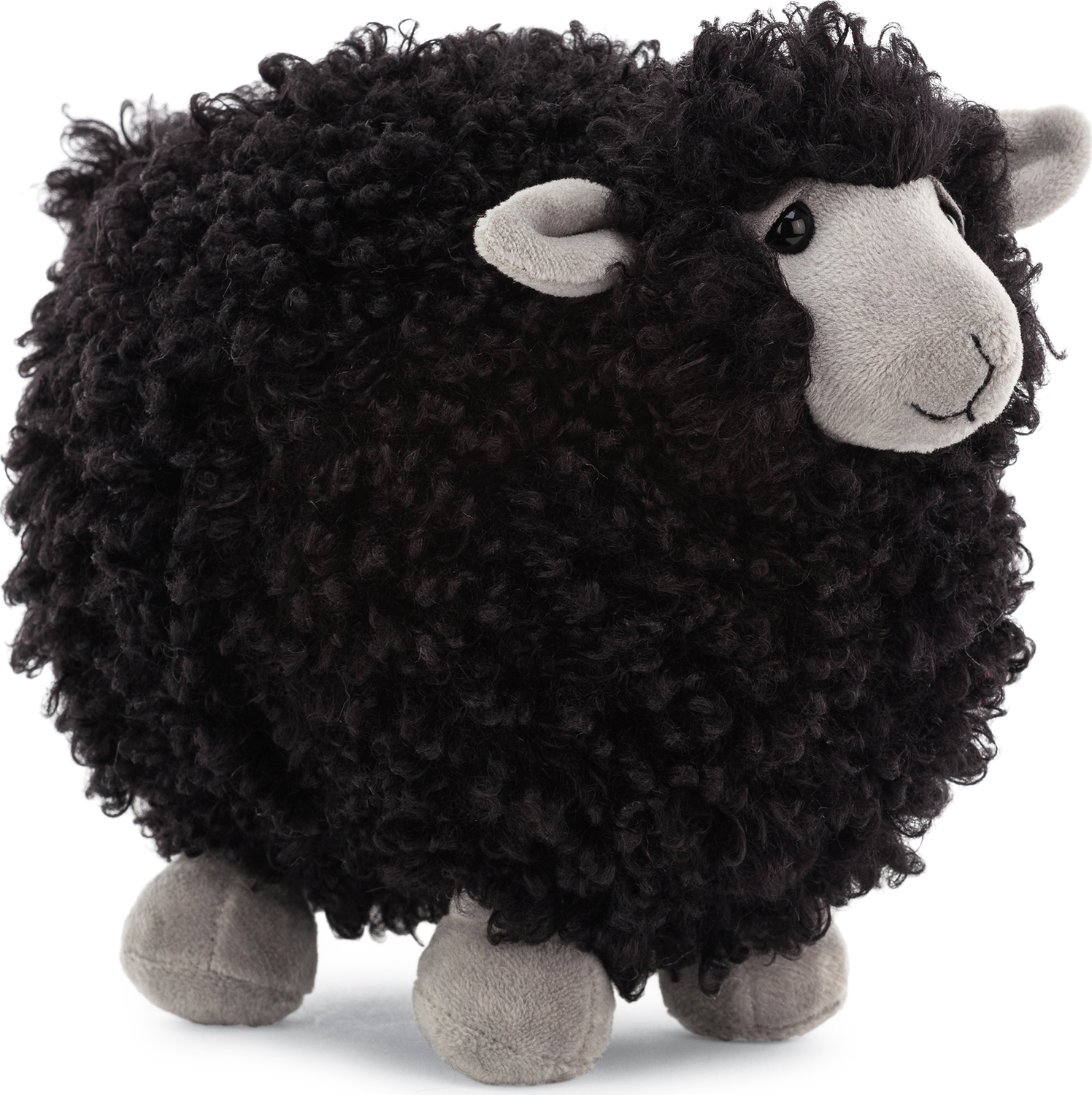 Rolbie Black Sheep Small