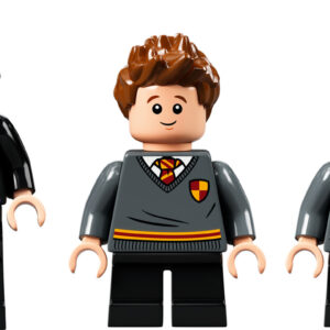 LEGO® Harry Potter: Hogwarts Moment: Potions Class