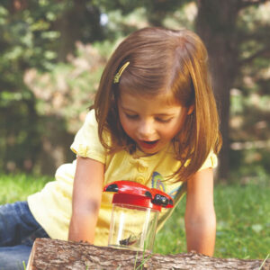 Primary ScienceĀ® Big View Bug Jars Set of 12