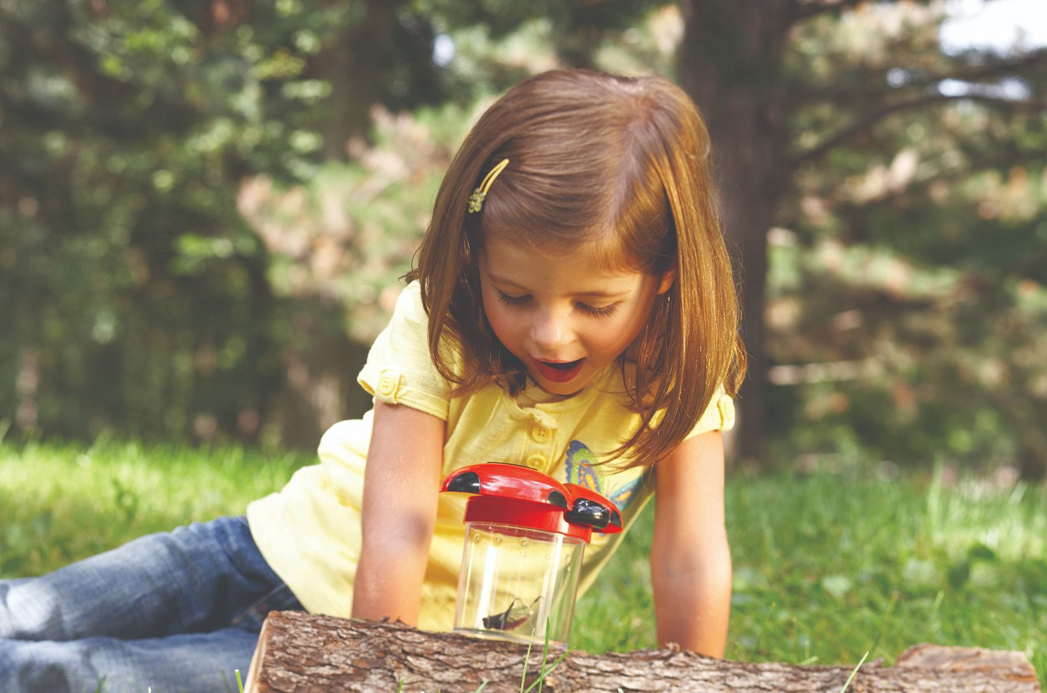 Primary ScienceĀ® Big View Bug Jars Set of 12