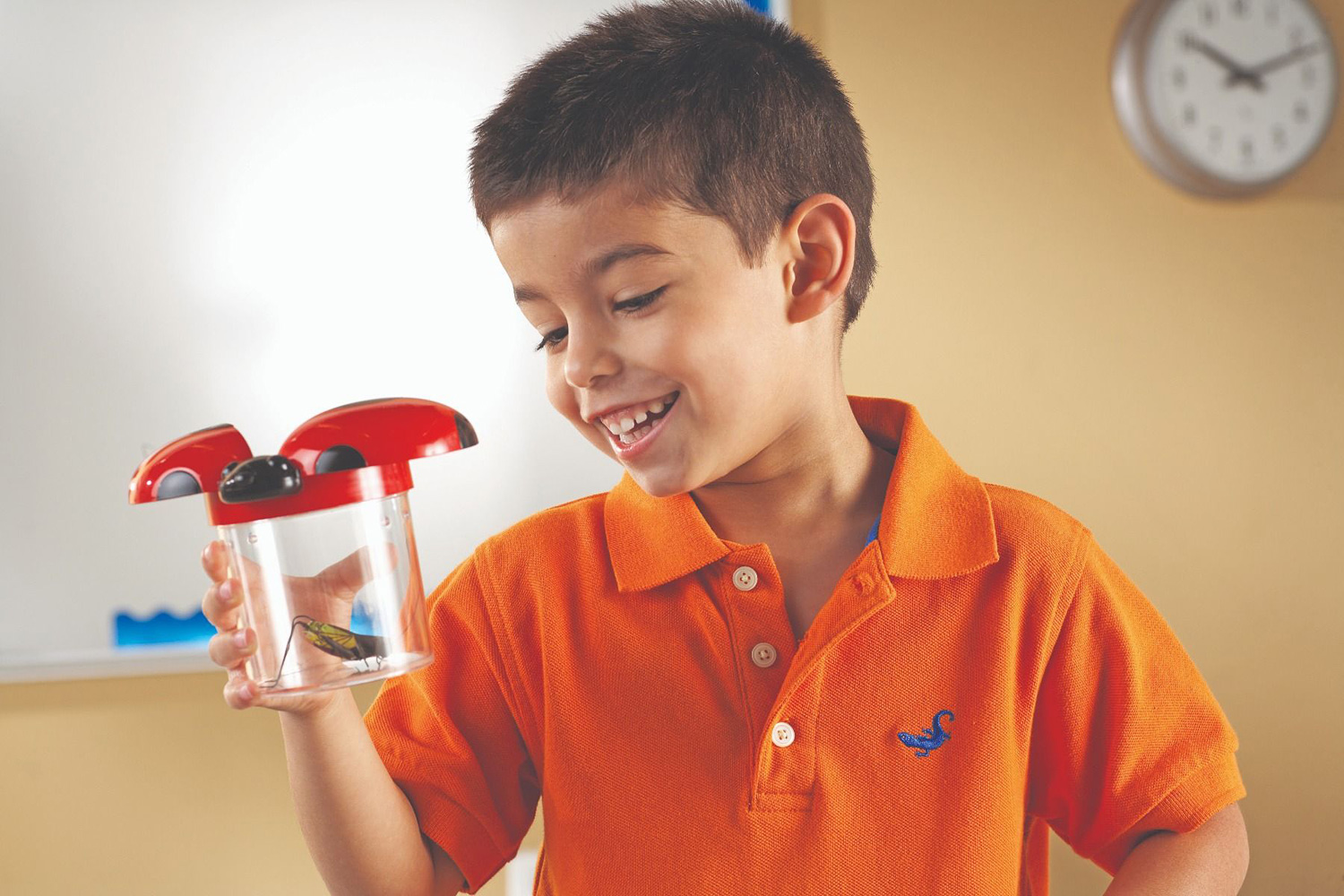 Primary ScienceĀ® Big View Bug Jars Set of 12