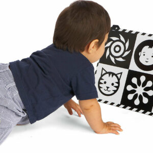 Wimmer-Ferguson Double-Feature Mirror