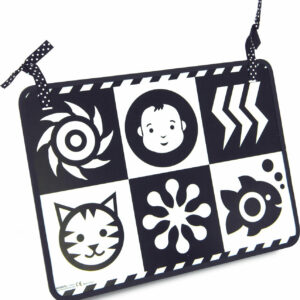 Wimmer-Ferguson Double-Feature Mirror